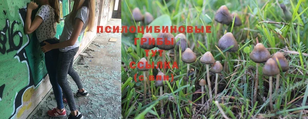 a pvp Аркадак
