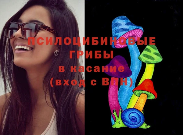 a pvp Аркадак