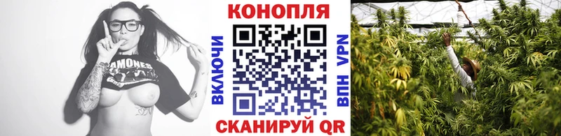 Канабис MAZAR Ясный